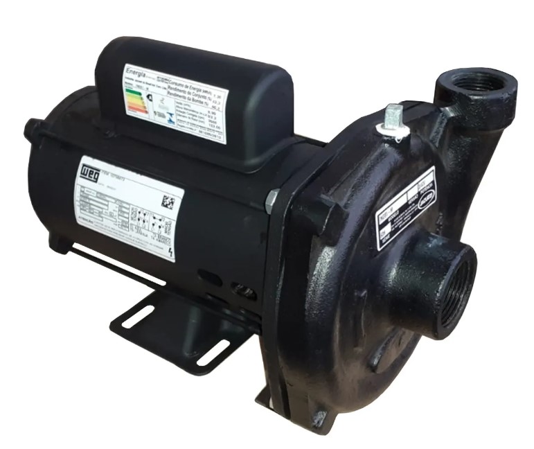 Bomba monofasica 127/220v modelo  15nds1 1,5cv Jacuzzi